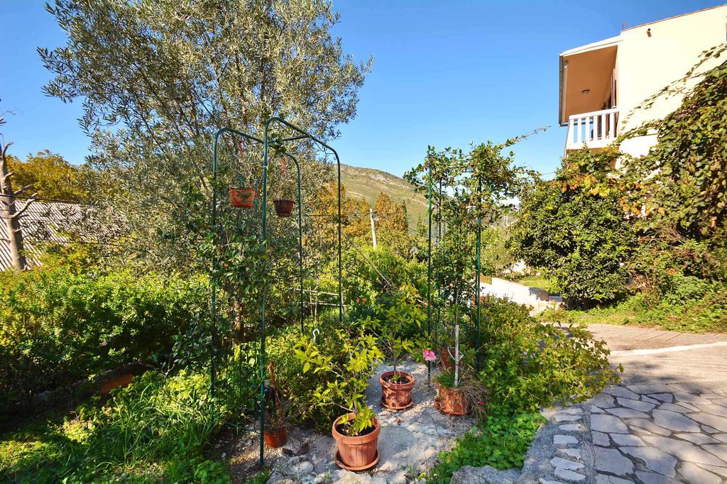 Apartment Rita Tivat Exterior photo